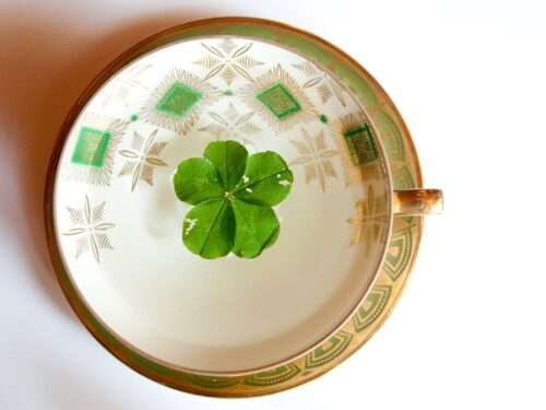 lucky tea, five-leaf clover, symbol of good luck